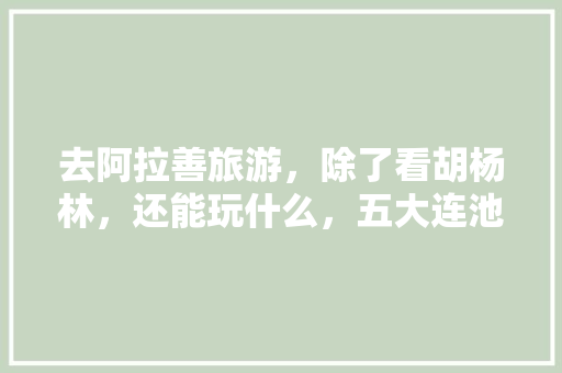 去阿拉善旅游，除了看胡杨林，还能玩什么，五大连池11月份好玩吗。