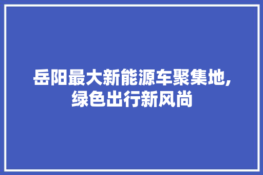 岳阳最大新能源车聚集地,绿色出行新风尚