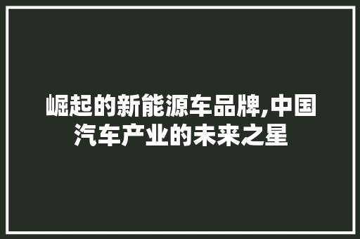 崛起的新能源车品牌,中国汽车产业的未来之星  第1张