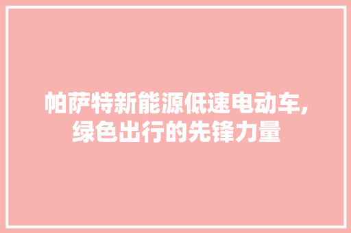 帕萨特新能源低速电动车,绿色出行的先锋力量  第1张