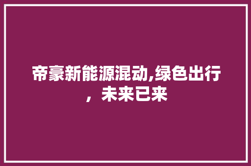 帝豪新能源混动,绿色出行，未来已来  第1张