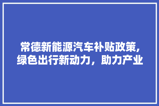 常德新能源汽车补贴政策,绿色出行新动力，助力产业发展新篇章  第1张