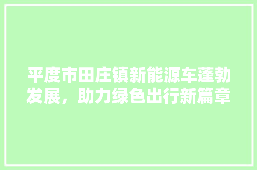 平度市田庄镇新能源车蓬勃发展，助力绿色出行新篇章  第1张