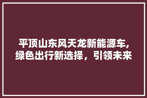 平顶山东风天龙新能源车,绿色出行新选择，引领未来交通潮流