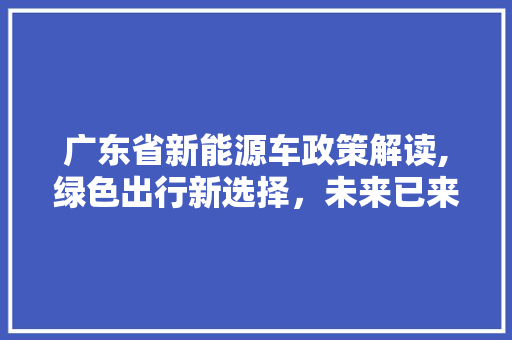 广东省新能源车政策解读,绿色出行新选择，未来已来