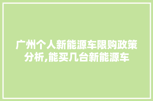 广州个人新能源车限购政策分析,能买几台新能源车  第1张