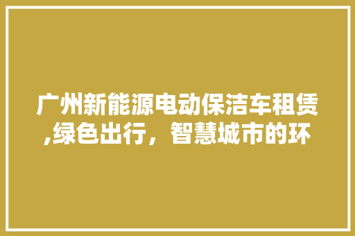 广州新能源电动保洁车租赁,绿色出行，智慧城市的环保使者  第1张