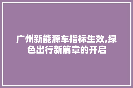 广州新能源车指标生效,绿色出行新篇章的开启  第1张