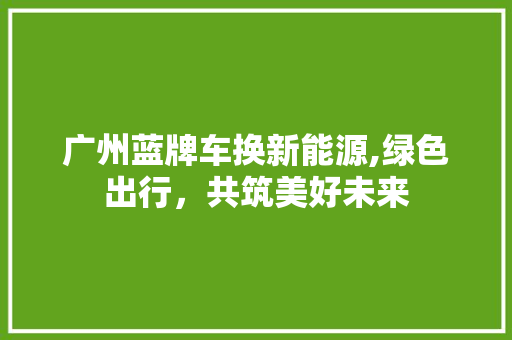 广州蓝牌车换新能源,绿色出行，共筑美好未来  第1张