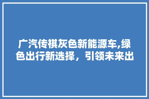 广汽传祺灰色新能源车,绿色出行新选择，引领未来出行潮流