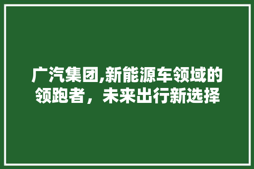 广汽集团,新能源车领域的领跑者，未来出行新选择