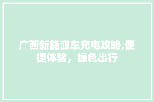 广西新能源车充电攻略,便捷体验，绿色出行  第1张