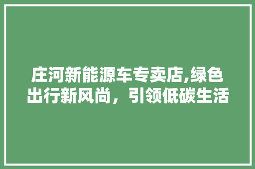 庄河新能源车专卖店,绿色出行新风尚，引领低碳生活新潮流