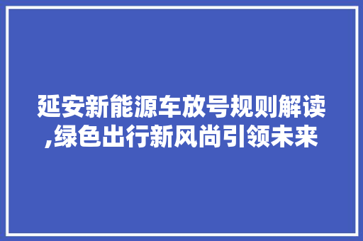 延安新能源车放号规则解读,绿色出行新风尚引领未来