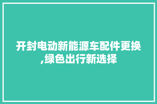 开封电动新能源车配件更换,绿色出行新选择