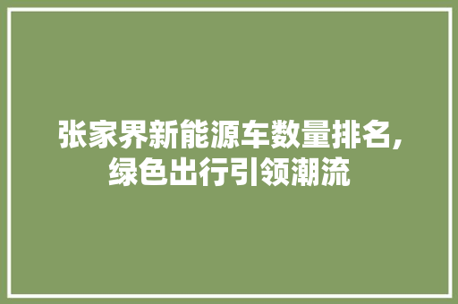 张家界新能源车数量排名,绿色出行引领潮流  第1张