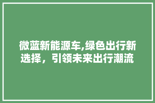 微蓝新能源车,绿色出行新选择，引领未来出行潮流  第1张