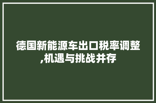 德国新能源车出口税率调整,机遇与挑战并存