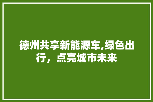 德州共享新能源车,绿色出行，点亮城市未来