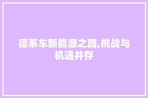 德系车新能源之路,挑战与机遇并存  第1张