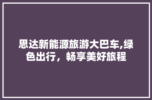 思达新能源旅游大巴车,绿色出行，畅享美好旅程