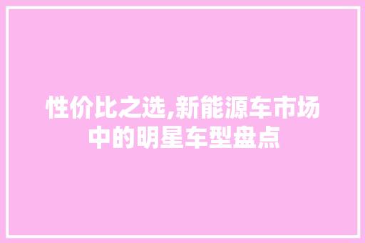 性价比之选,新能源车市场中的明星车型盘点  第1张