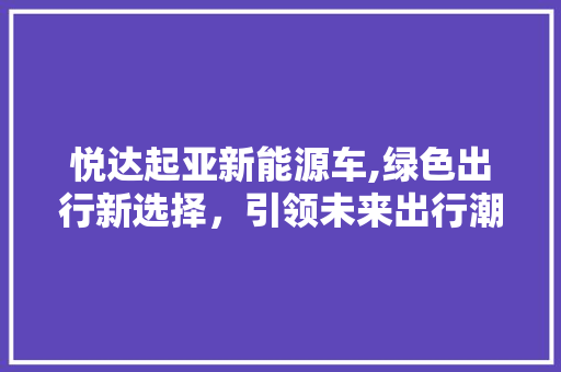 悦达起亚新能源车,绿色出行新选择，引领未来出行潮流