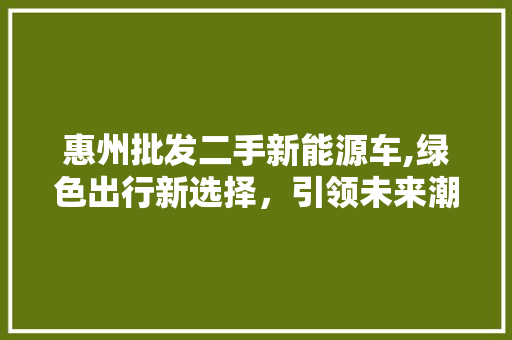 惠州批发二手新能源车,绿色出行新选择，引领未来潮流