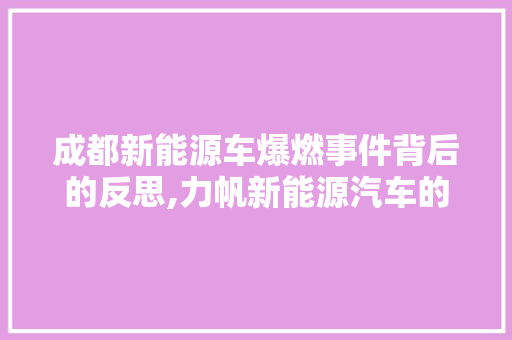 成都新能源车爆燃事件背后的反思,力帆新能源汽车的安全隐患与行业监管挑战