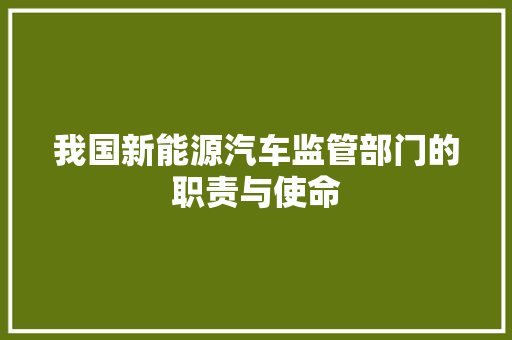 我国新能源汽车监管部门的职责与使命  第1张