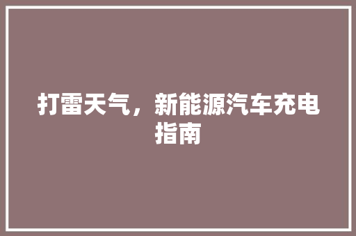 打雷天气，新能源汽车充电指南  第1张