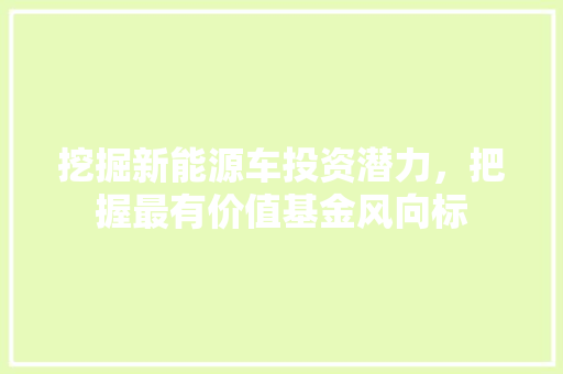 挖掘新能源车投资潜力，把握最有价值基金风向标  第1张