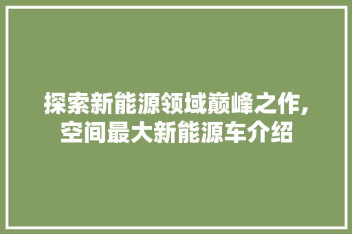 探索新能源领域巅峰之作,空间最大新能源车介绍