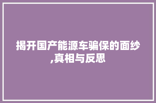 揭开国产能源车骗保的面纱,真相与反思  第1张