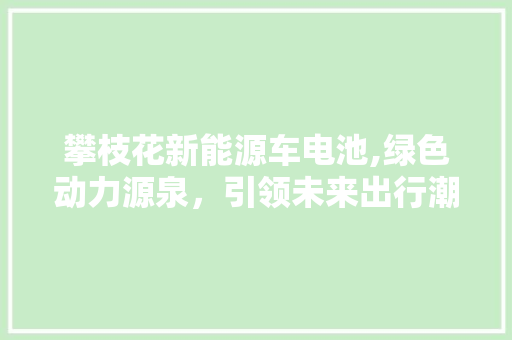 攀枝花新能源车电池,绿色动力源泉，引领未来出行潮流