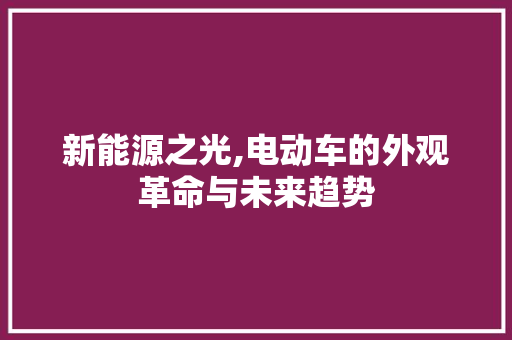 新能源之光,电动车的外观革命与未来趋势  第1张