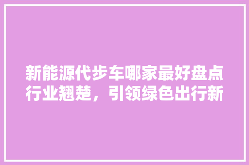 新能源代步车哪家最好盘点行业翘楚，引领绿色出行新风尚  第1张