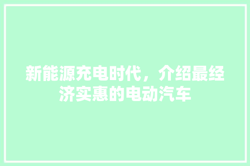 新能源充电时代，介绍最经济实惠的电动汽车  第1张