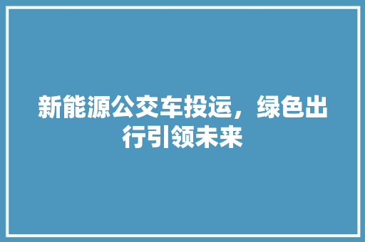 新能源公交车投运，绿色出行引领未来  第1张