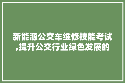 新能源公交车维修技能考试,提升公交行业绿色发展的关键一环  第1张