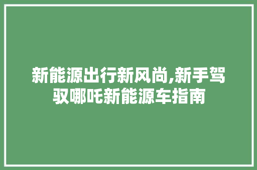 新能源出行新风尚,新手驾驭哪吒新能源车指南  第1张