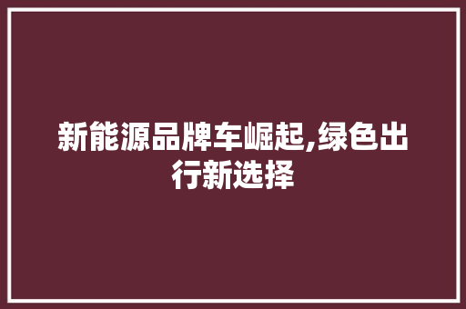 新能源品牌车崛起,绿色出行新选择  第1张