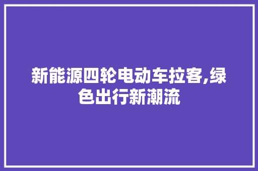 新能源四轮电动车拉客,绿色出行新潮流  第1张