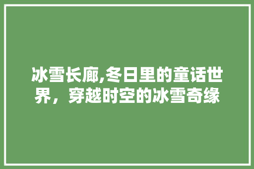 冰雪长廊,冬日里的童话世界，穿越时空的冰雪奇缘