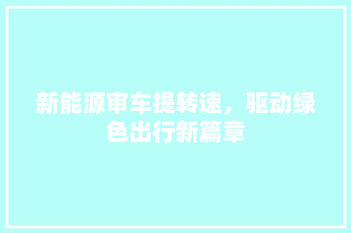 新能源审车提转速，驱动绿色出行新篇章