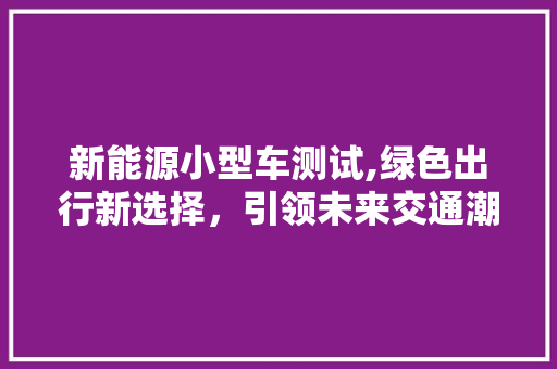 新能源小型车测试,绿色出行新选择，引领未来交通潮流