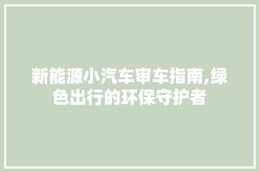 新能源小汽车审车指南,绿色出行的环保守护者