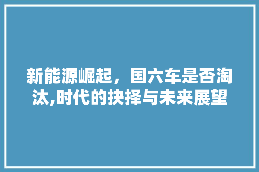 新能源崛起，国六车是否淘汰,时代的抉择与未来展望  第1张