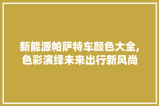 新能源帕萨特车颜色大全,色彩演绎未来出行新风尚  第1张