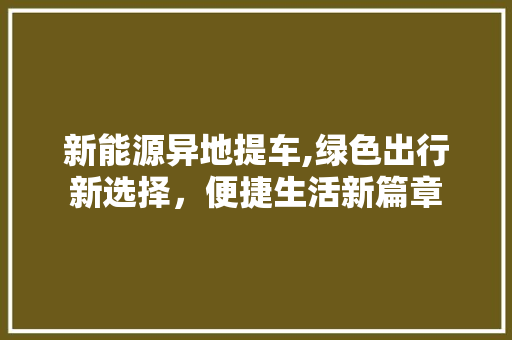 新能源异地提车,绿色出行新选择，便捷生活新篇章